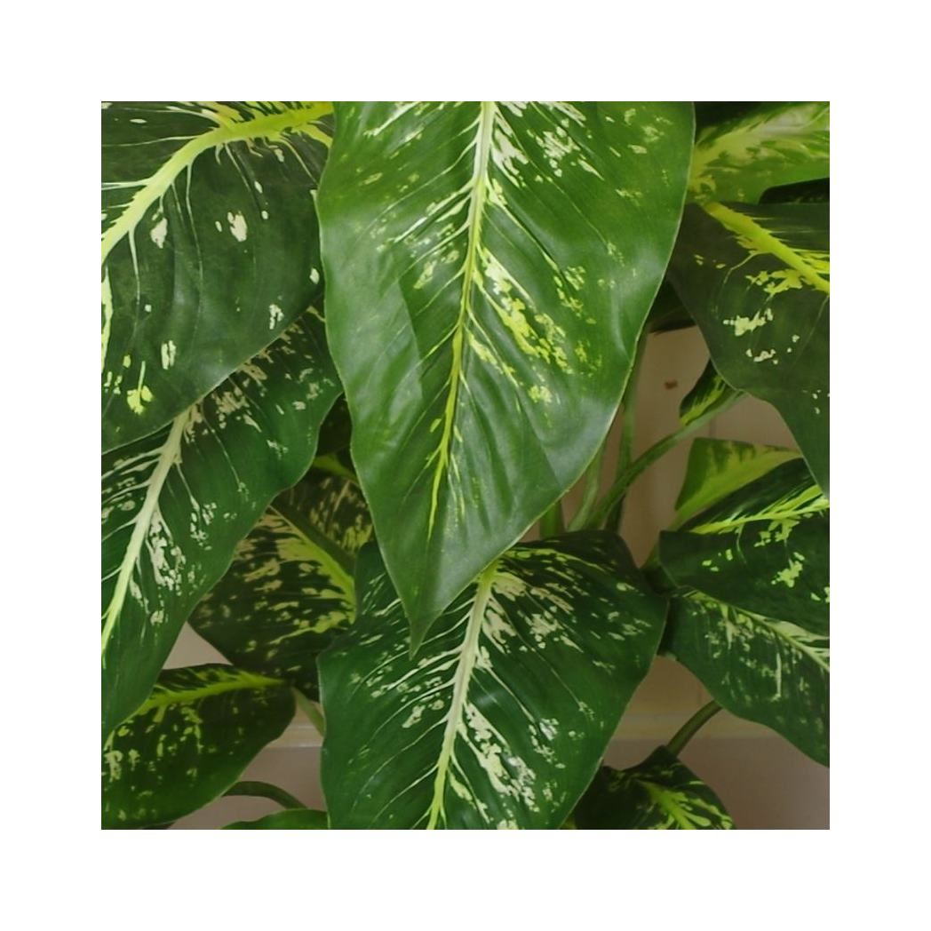 100cm Large Fox's Aglaonema Realistic Tree Artificial Plant with Silver Metal Planter