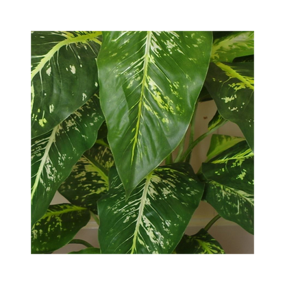 100cm Large Fox's Aglaonema Realistic Tree Artificial Plant with Silver Metal Planter